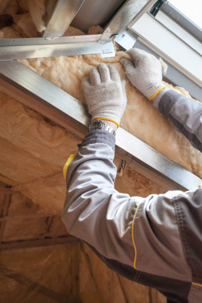 Best Specialized Insulation Services in Electra, TX