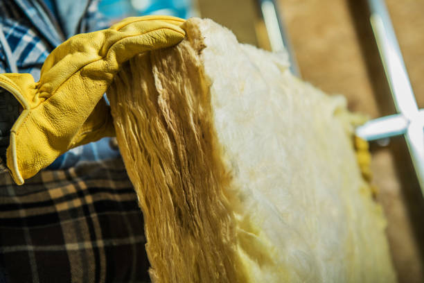 Best Eco-Friendly Insulation in Electra, TX