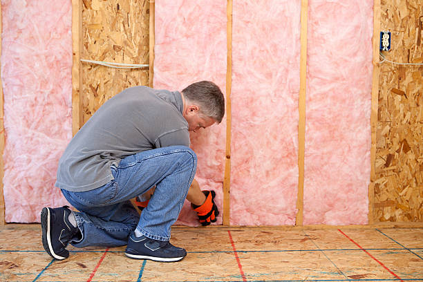 Types of Insulation We Offer in Electra, TX