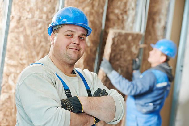 Best Geographic-Specific Insulation Services in Electra, TX